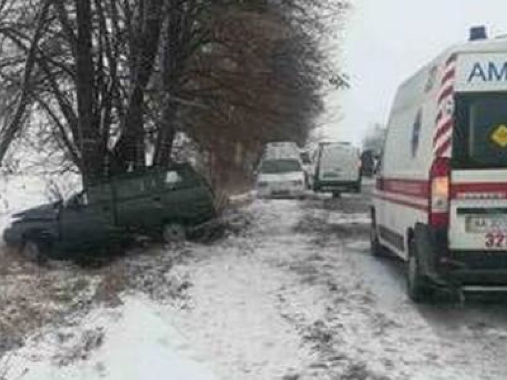 На Киевщине ВАЗ влетел в дерево, водитель погиб на месте (ФОТО)