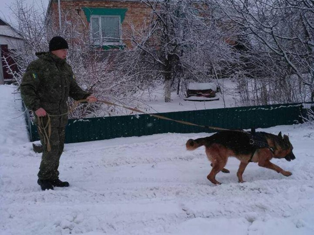 Полицейский пес показал пример правоохранителям и раскрыл два преступления (ФОТО)
