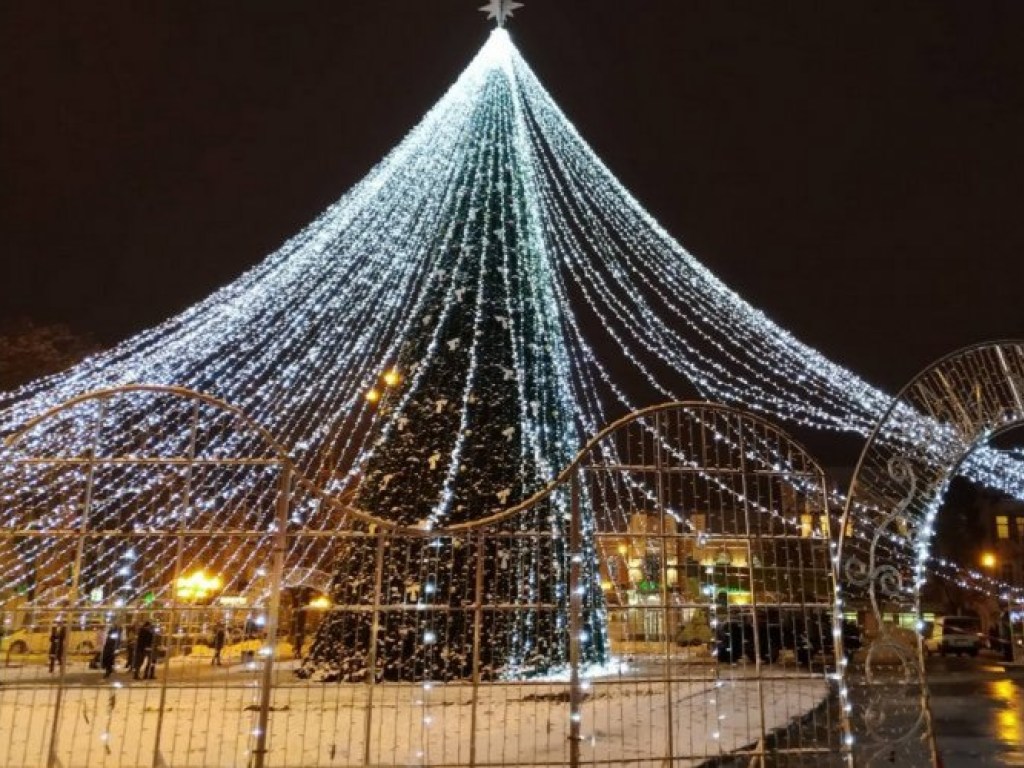 Самая дорогая новогодняя елка Украины установлена в Полтаве (ФОТО)