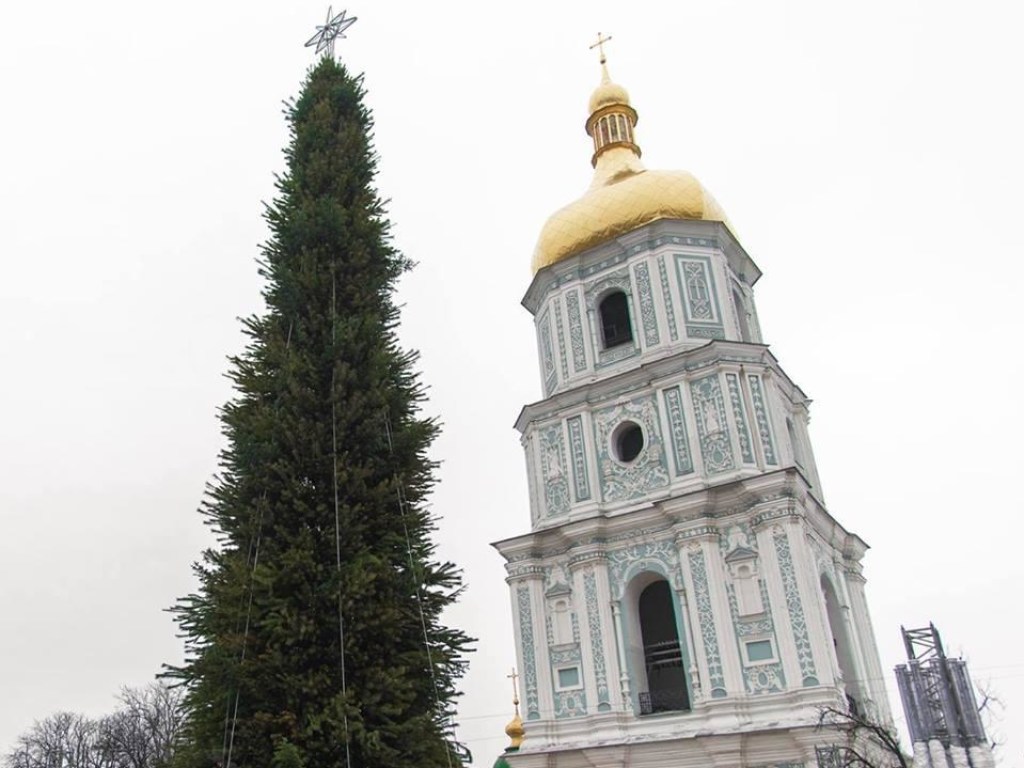 19 декабря на Софийской площади в Киеве зажгут главную елку Украины