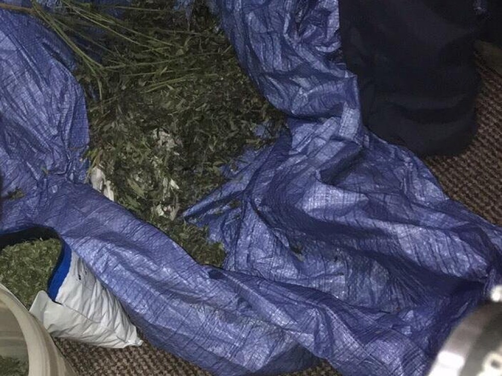 Жительница Свалявы хранила дома марихуану в особо крупных размерах