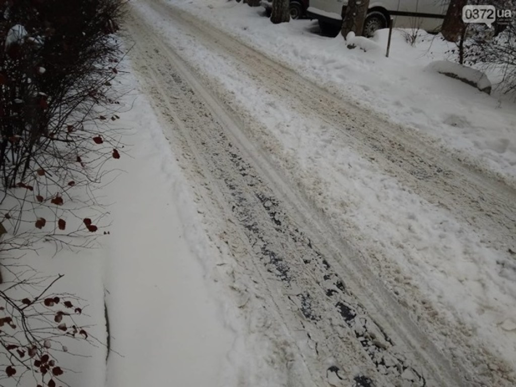 Черновцы засыпало снегом: общественный транспорт остановился из-за нерасчищенных дорог (ФОТО)