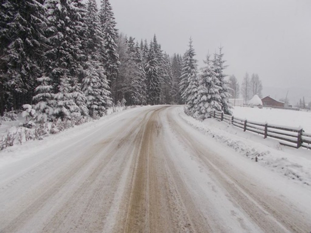 Выпало до 70 сантиметров снега: в Карпатах прошли обильные осадки (ФОТО)