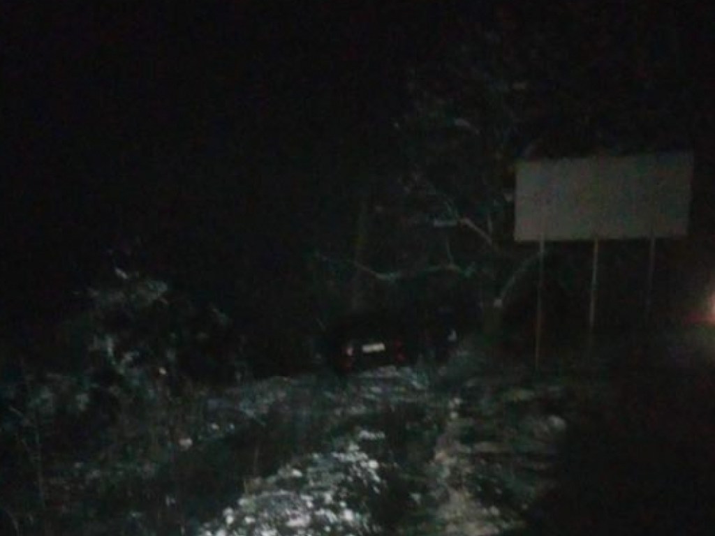 На трассе в Закарпатской области Skoda протаранила BMW (ФОТО)