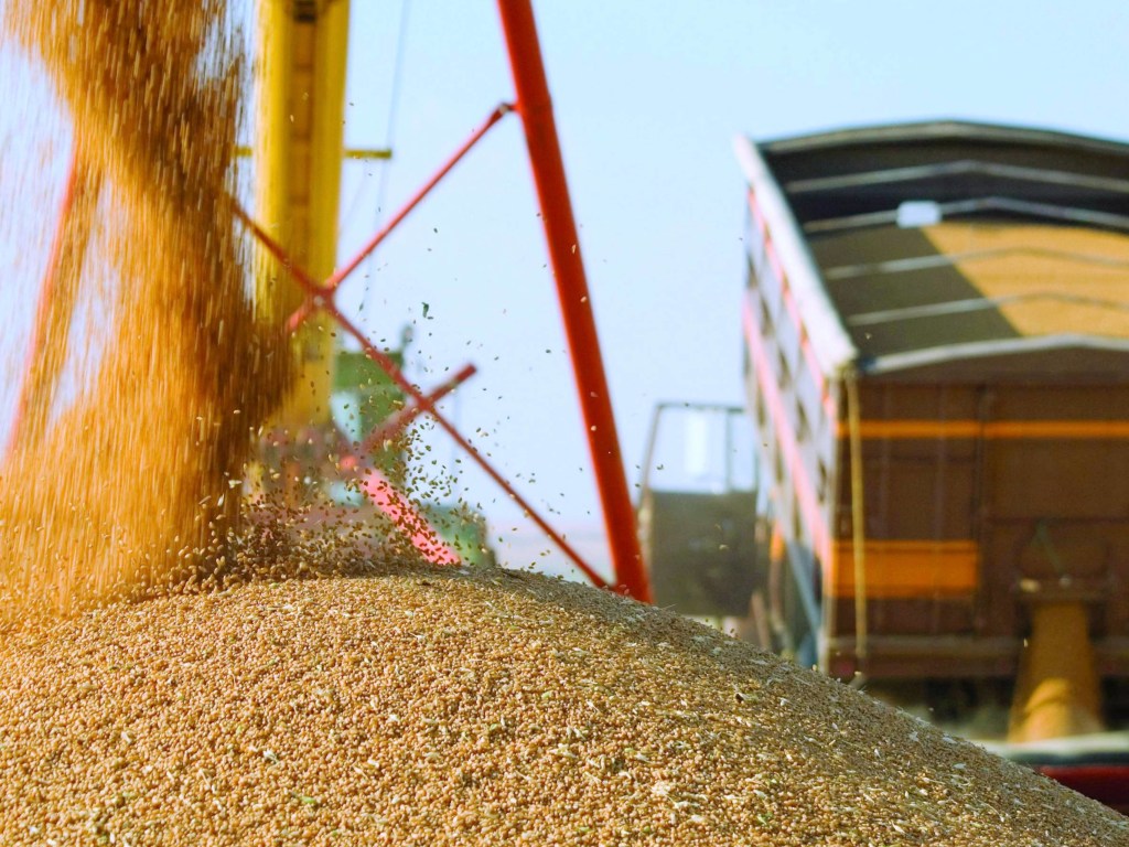 Минагрополитики прогнозирует рекордный экспорт зерна