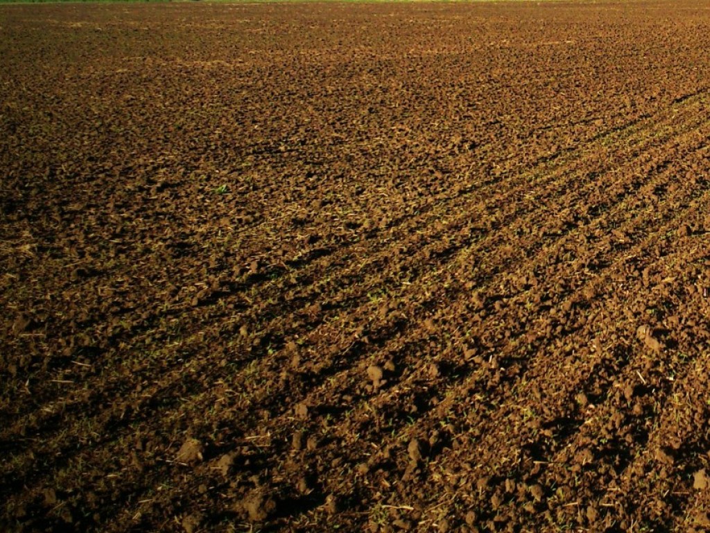 В Раде зарегистрированы 16 законопроектов о продлении моратория на продажу сельскохозяйственных земель – эксперты