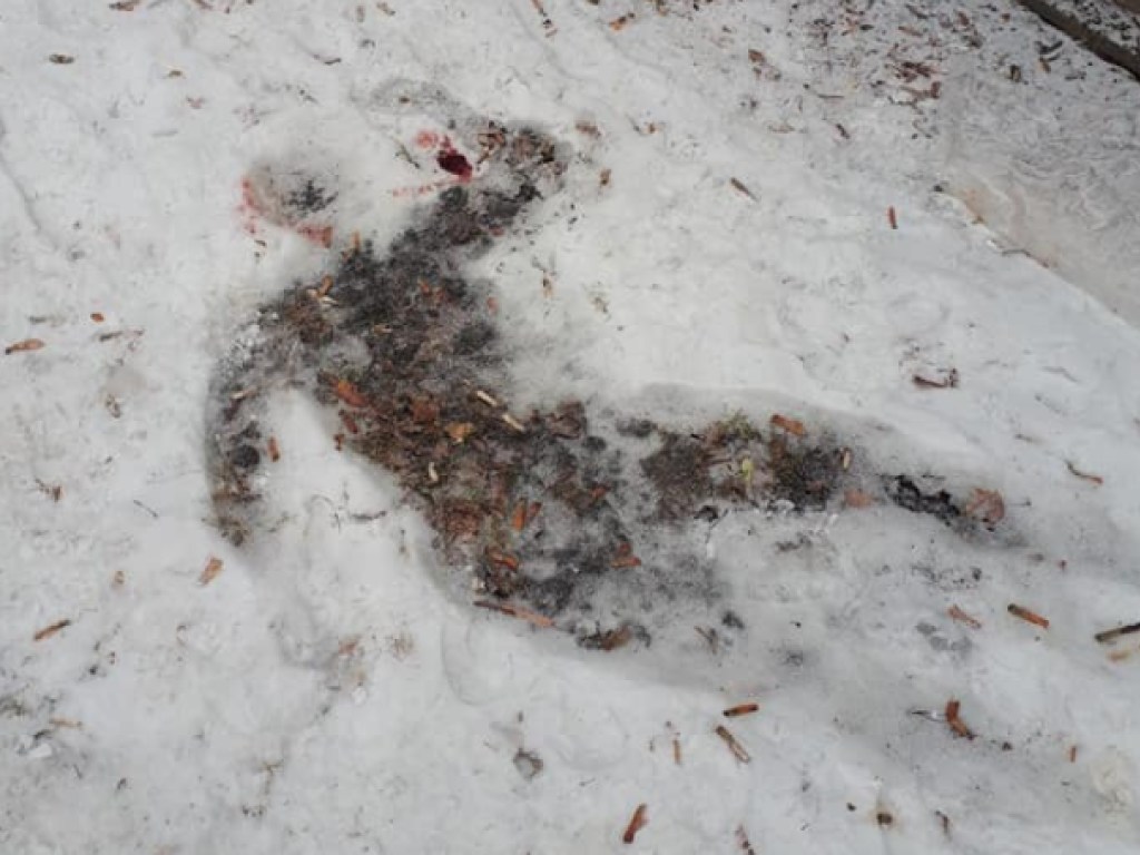 Неизвестная женщина разбилась насмерть в Харькове