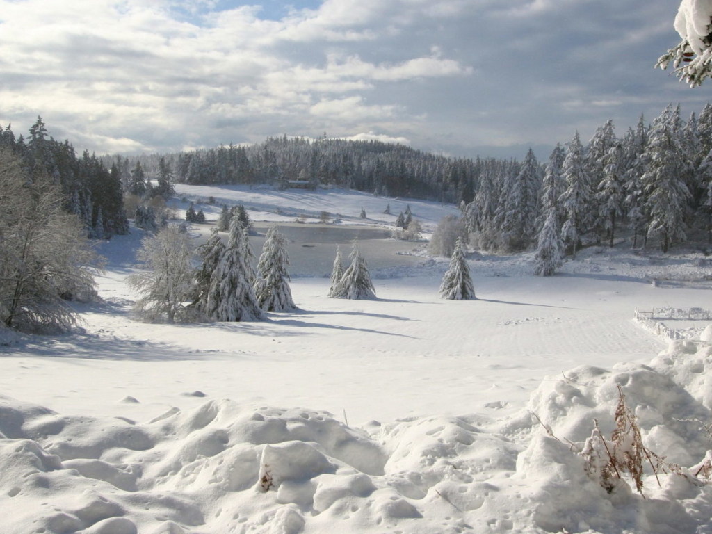 Высота снежного покрова в Карпатах местами достигает 80 сантиметров