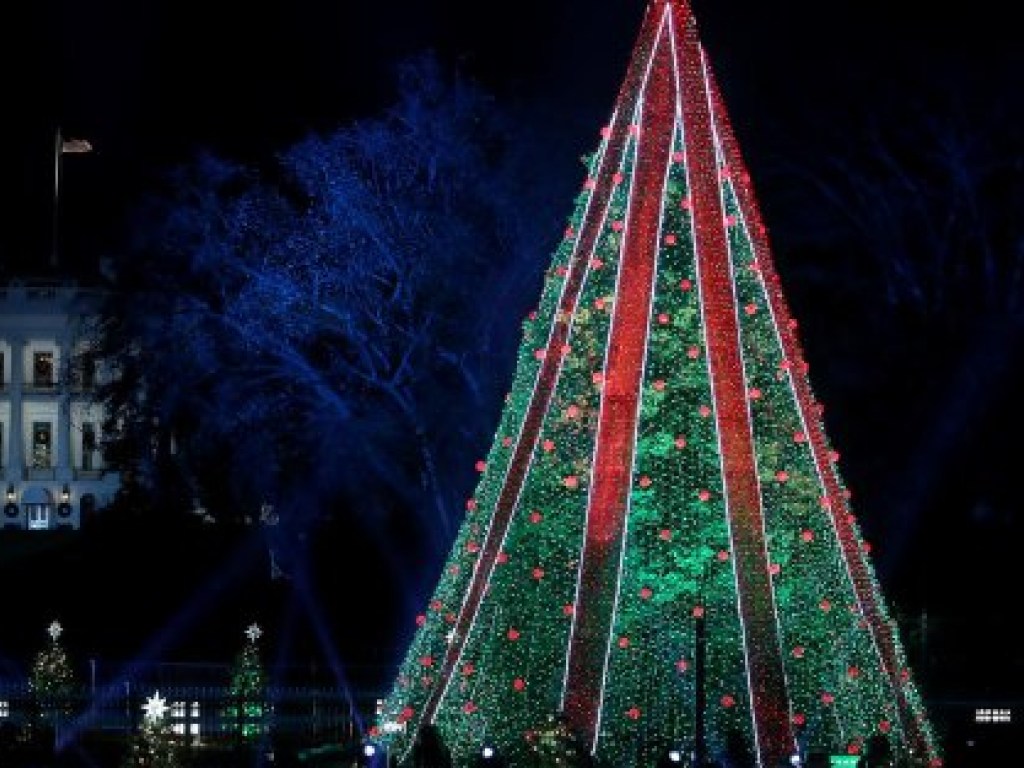 В Вашингтоне неизвестный взобрался на главную Рождественскую елку перед Белым домом (ВИДЕО)