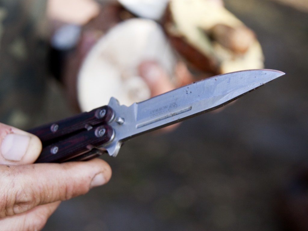 Житель Закарпатья совершил ДТП и напал с ножом на патрульную (ВИДЕО)