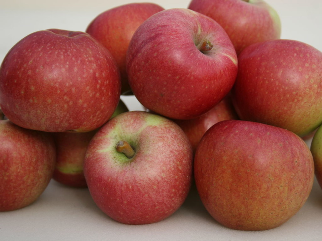 Для восполнения дефицита витаминов зимой нужно ежедневно есть «местные» яблоки – медик