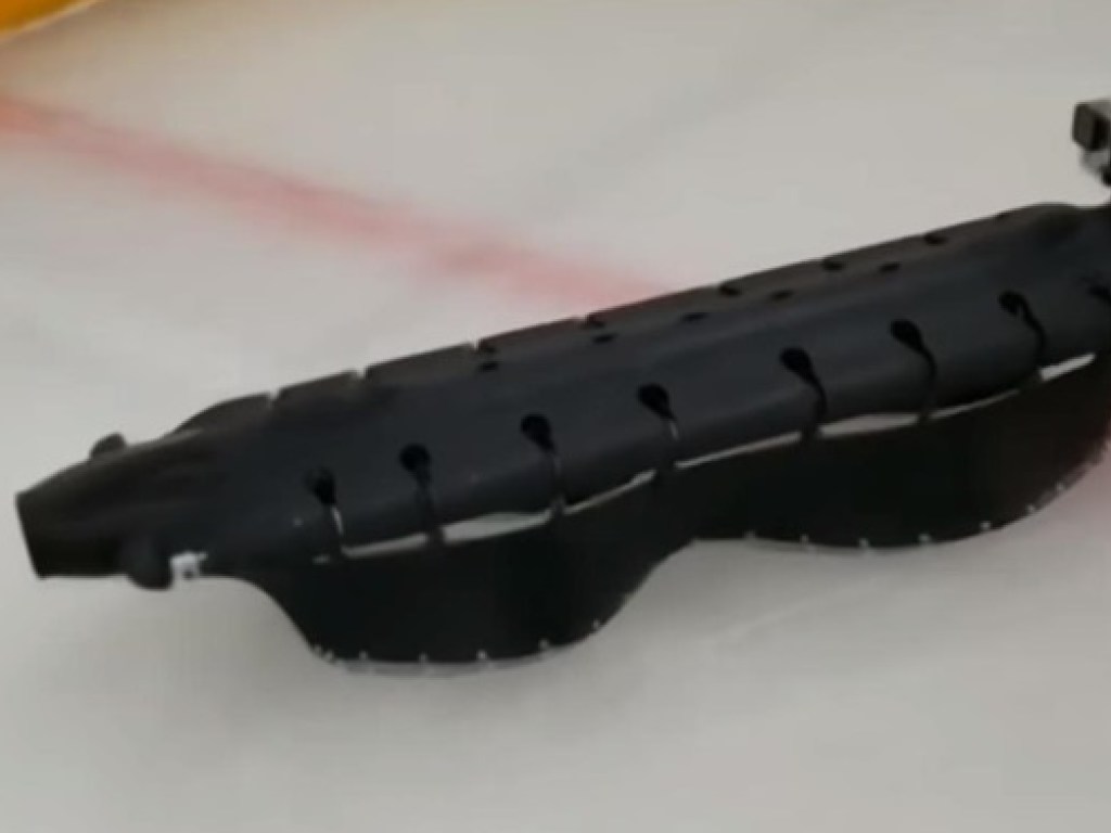 Плавает, ползает и скользить по льду: робота-амфибию представили в США ( ВИДЕО)