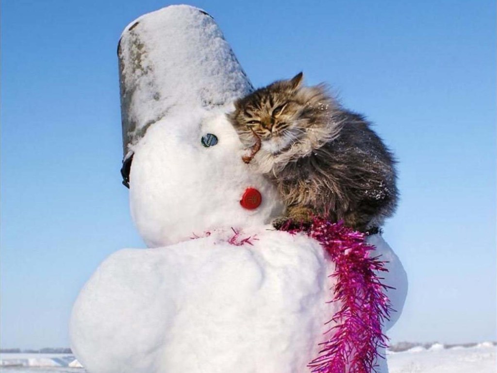 Уникальное зрелище: В Луцке слепили снеговика размером с дом (ФОТО)