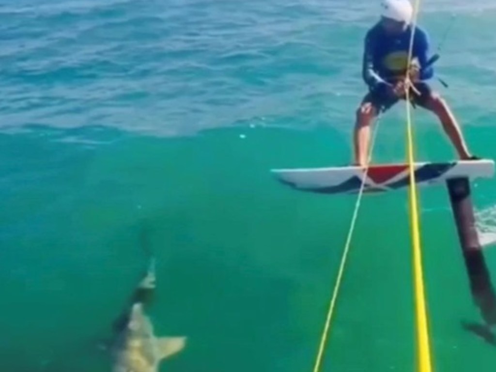 Спортсмен на бешеной скорости влетел в акулу и свалился с доски (ВИДЕО)