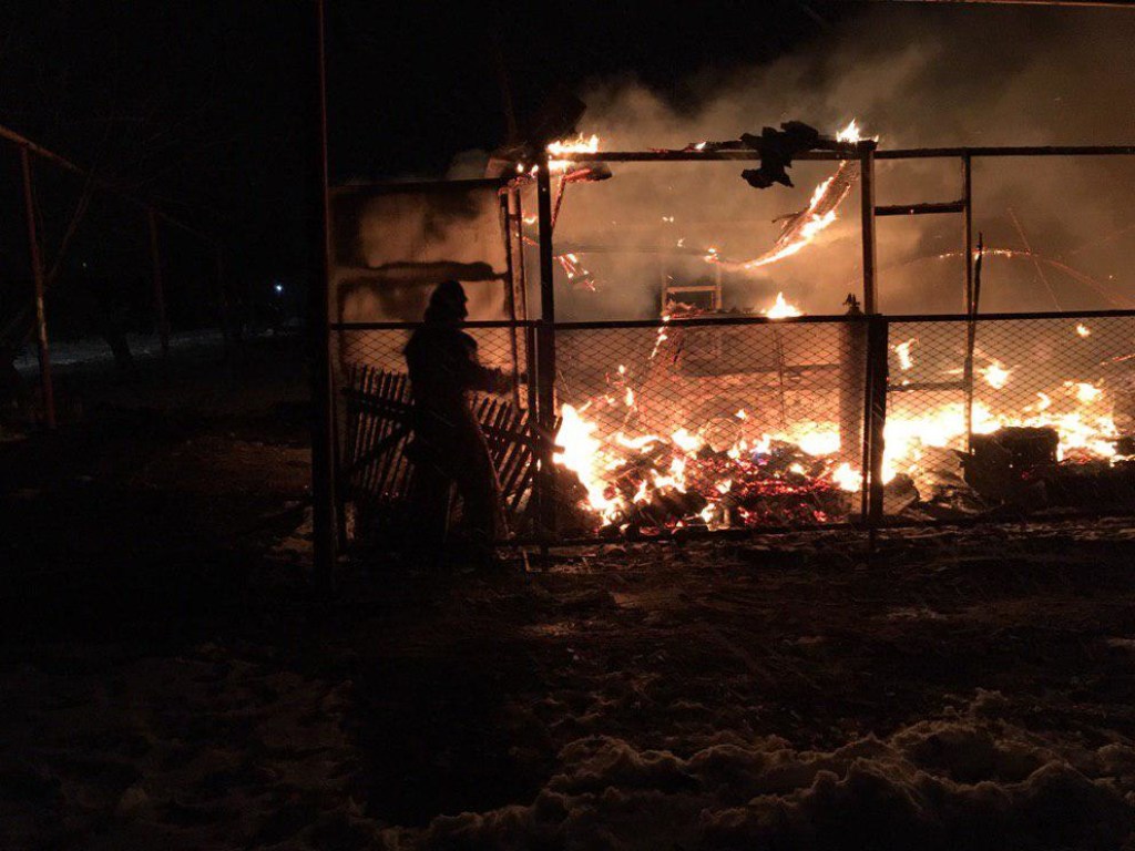 В Запорожской области сгорел частный гараж с тремя автомобилями (ФОТО)