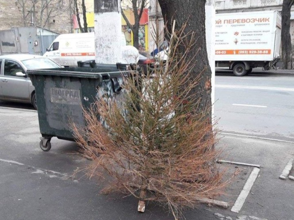 Чемпион: В Одессе мужчина выбросил прошлогоднюю елку за 3 дня до Нового года (ФОТО)
