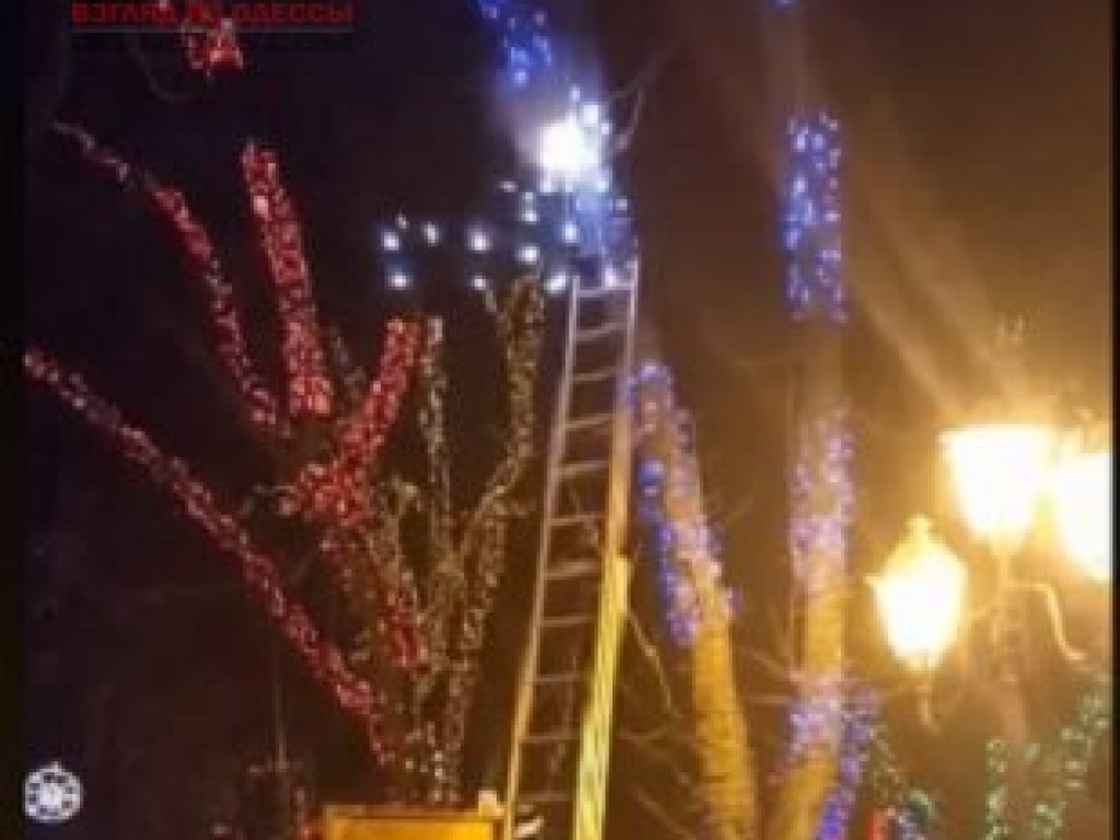 В Одессе на дереве загорелась иллюминация (ФОТО, ВИДЕО)