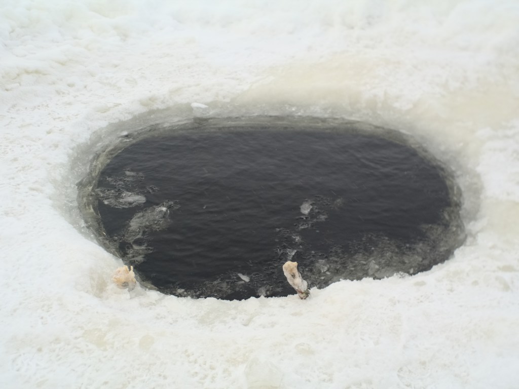 Харьковчанин прыгнул в ледяную воду и спас тонущую собаку (ВИДЕО)