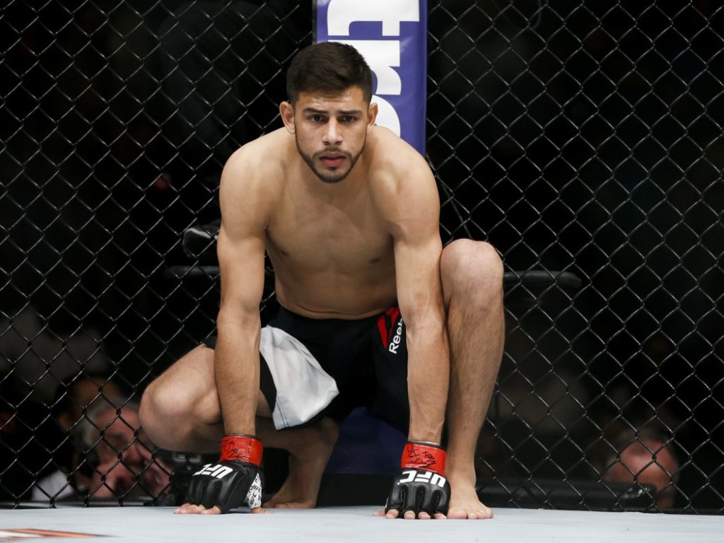 Определен самый зрелищный нокаут 2018 года в MMA (ВИДЕО)