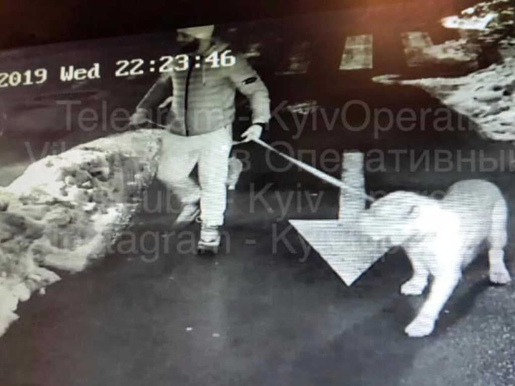 Появились снимки кавказца, убившего сотрудника УГО в Киеве (ФОТО, ВИДЕО)