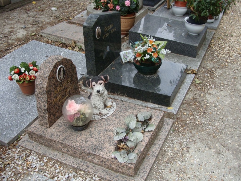 В Киеве за 27 миллионов гривен построят нетрадиционное кладбище