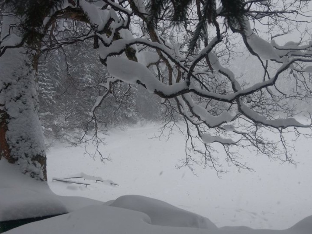 Опубликовали зимние пейзажи заснеженного озера Синевир (ФОТО)