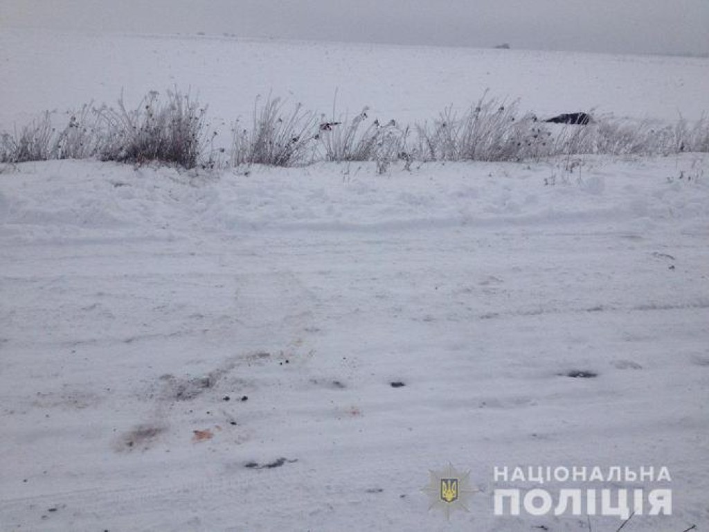 На поле в Днепропетровской области в снегу нашли труп (ФОТО)