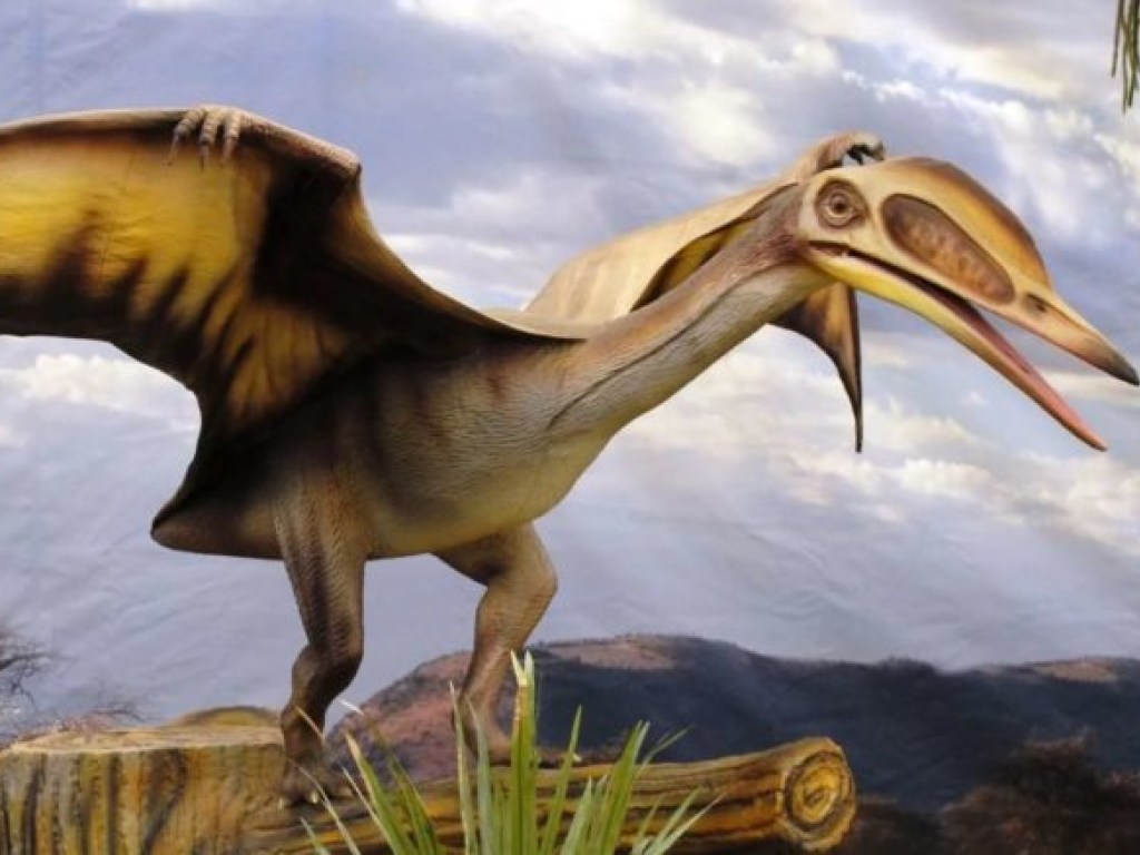 Британские ученые обнаружили новый вид летающего динозавра (ФОТО)