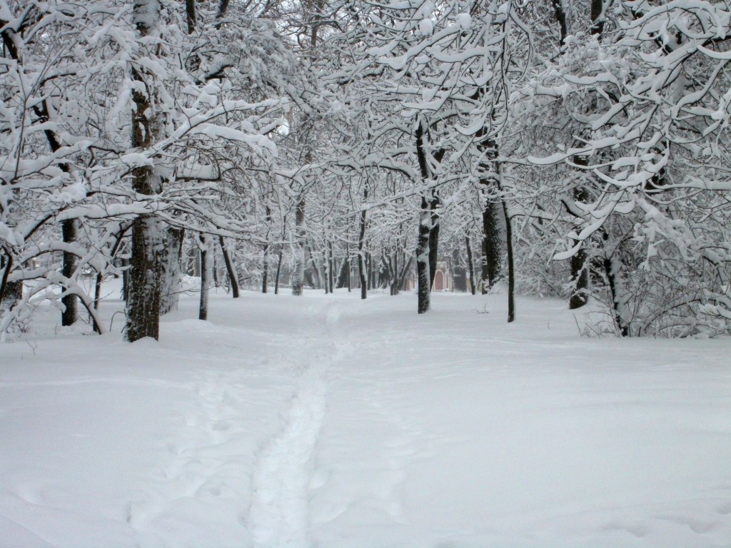Снежный коллапс: В пяти областях Украины затруднено движения транспорта (СПИСОК)