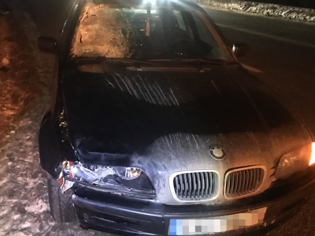 На дороге «Киев-Харьков-Должанский» BMW насмерть сбил 50-летнюю женщину (ФОТО)