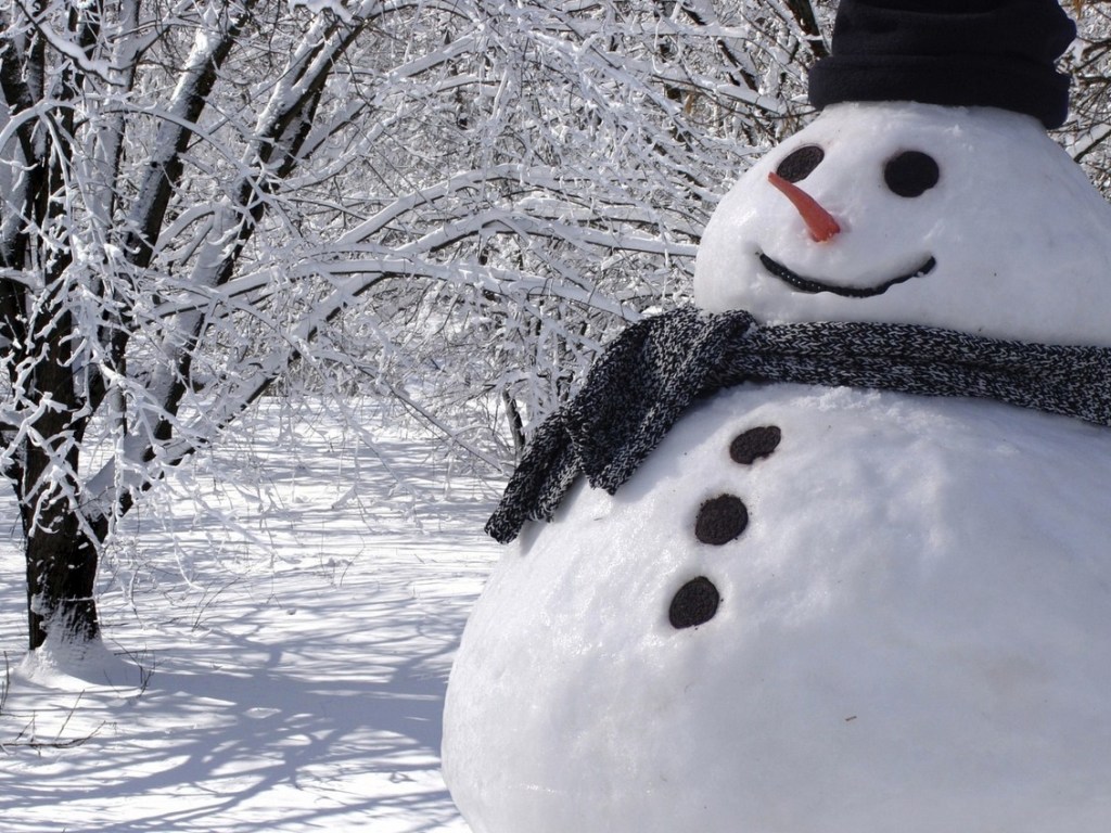 Синоптик: На Рождество в Украине ожидается морозная и снежная погода (КАРТА)