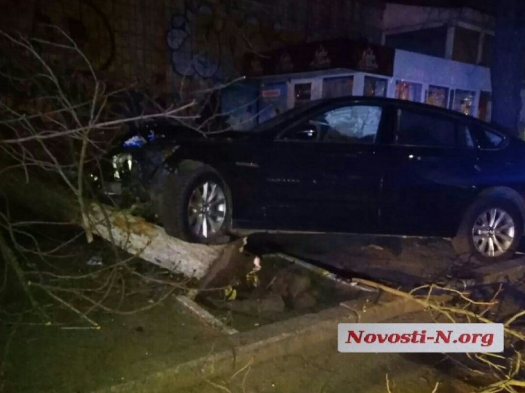ДТП в Николаеве: пьяный водитель BMW «поцеловал» дерево