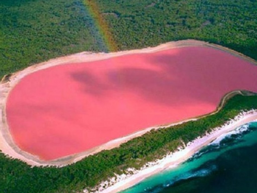 Ученым удалось разгадать тайну розового озера в Австралии (ФОТО)