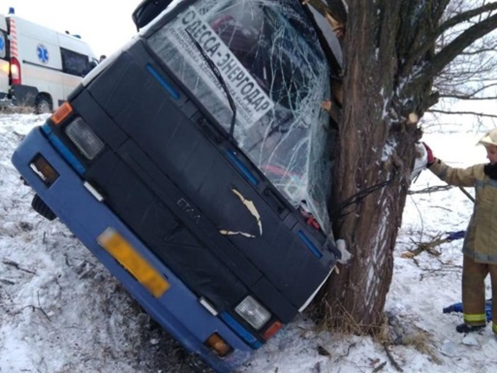 Автобус с пассажирами влетел в дерево в Херсонской области, есть пострадавшие (ФОТО)