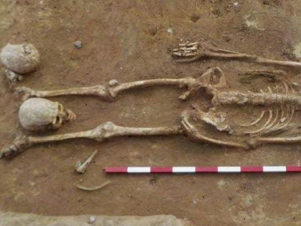 В Великобритании обнаружили кладбище со скелетами с черепами между ног (ФОТО)