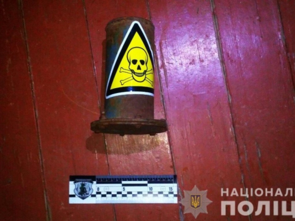 На Закарпатье во дворе частного дома обнаружили пакет с гранатами (ФОТО)
