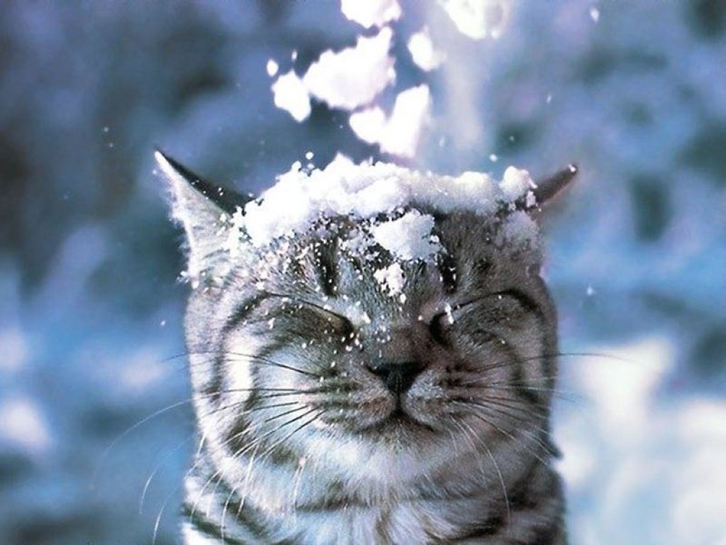 Синоптик: 13 января  в Украине прогнозируется небольшой мороз и редкий снежок