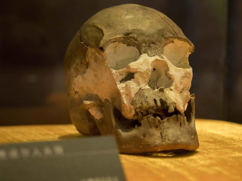 В Китае найден череп человека современного типа, которому насчитывается более 10 тысяч лет (ФОТО)