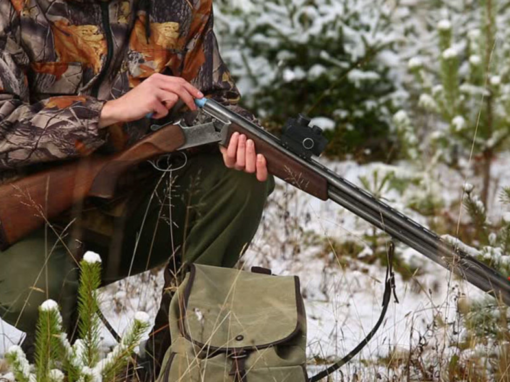 Браконьеры убили молодого лося в лесу Черниговской области: полиция задержала охотников  (ФОТО)