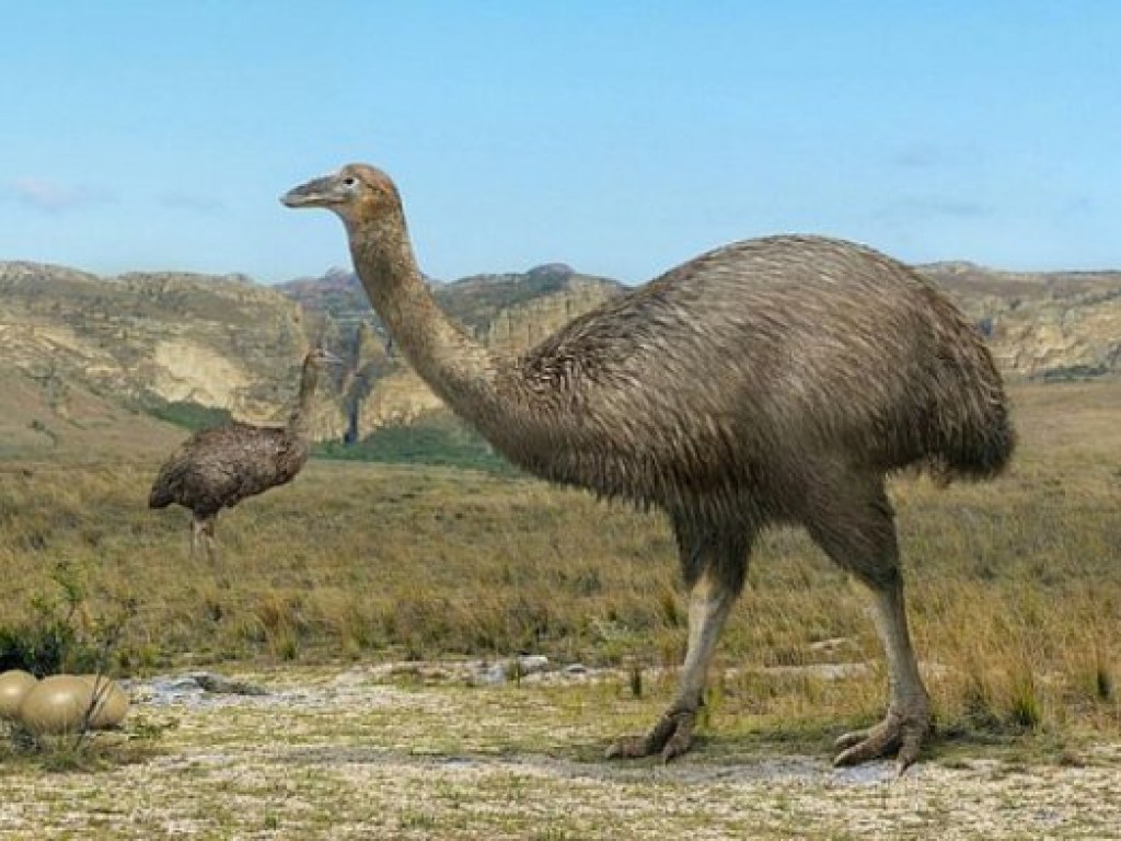 Британские ученые обнаружили крупнейшую птицу, обитавшую на планете (ФОТО)