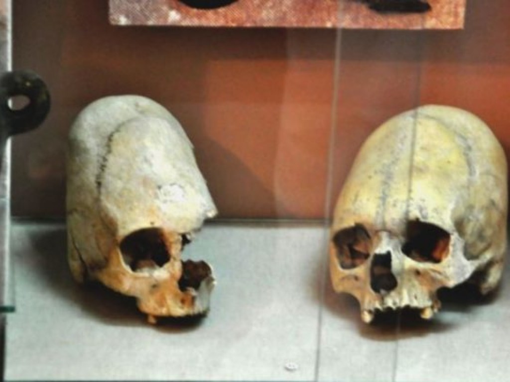 Археологи нашли странный череп существа, от которого произошел человек