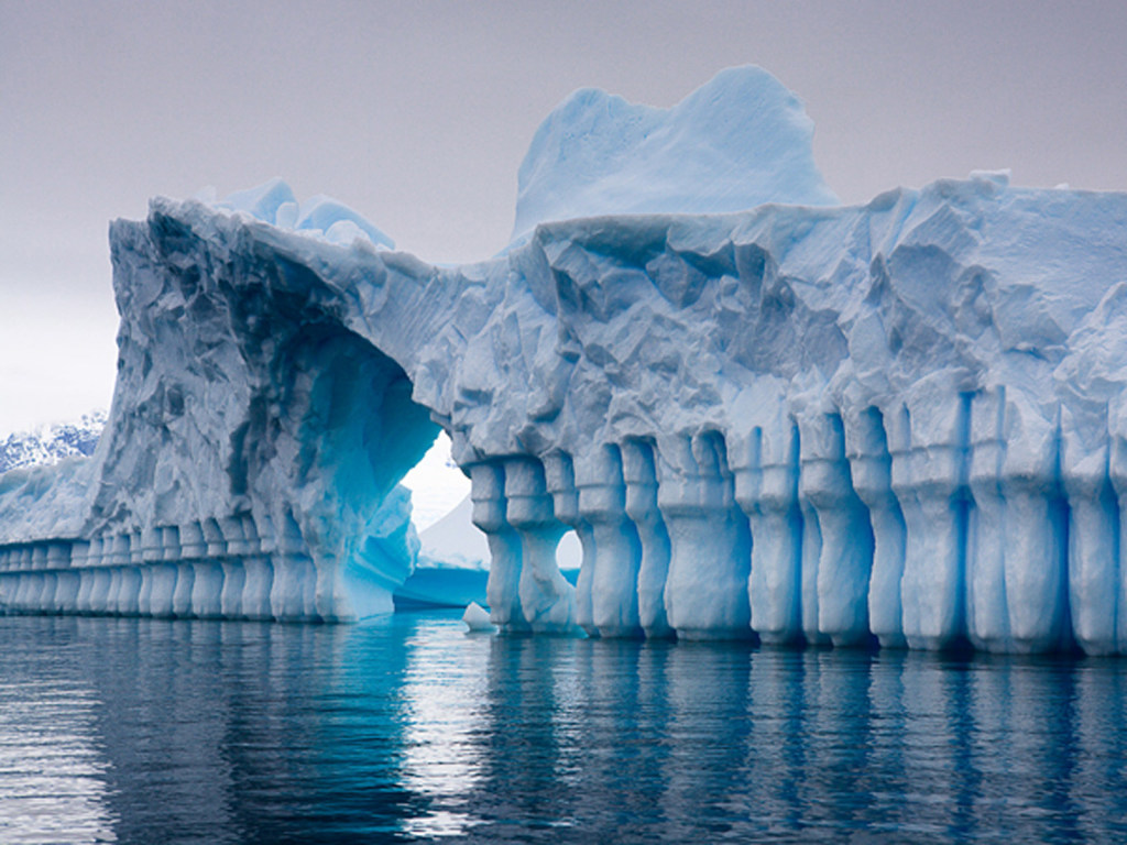 Ученые в озере в Антарктиде обнаружили останки ракообразных и тихоходок (ФОТО)