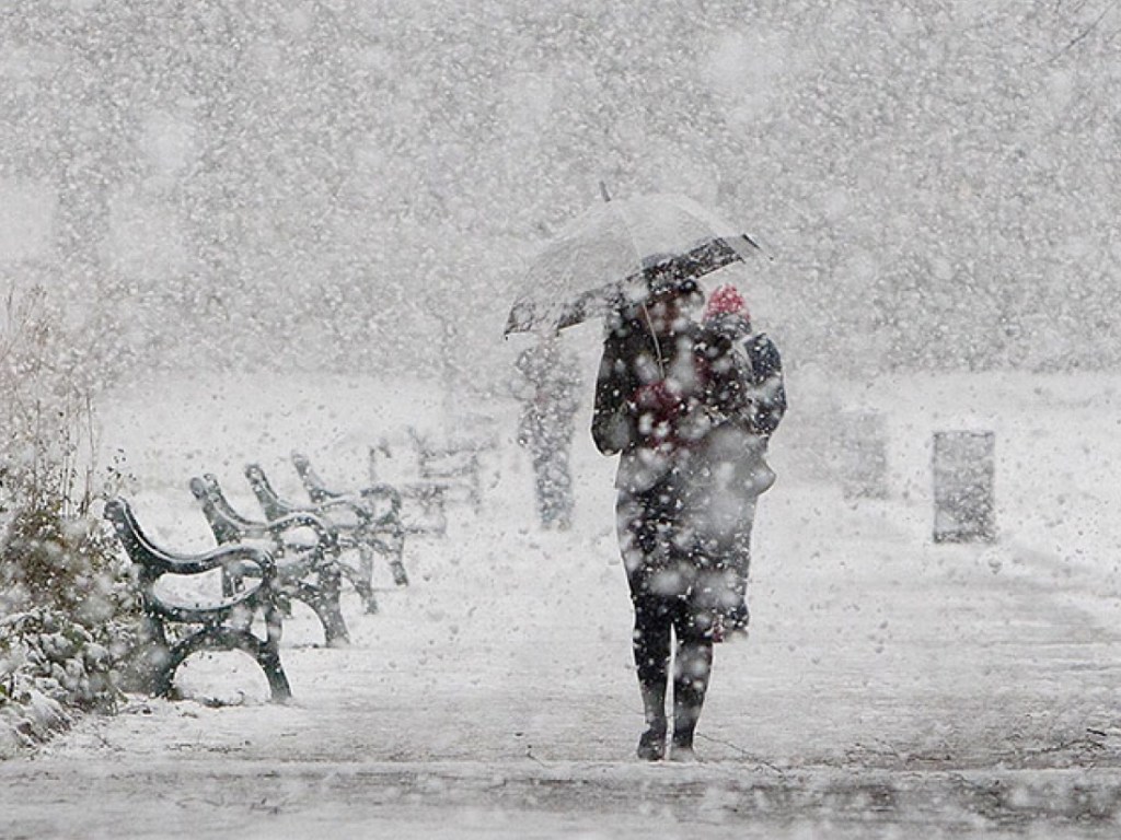 Прогноз погоды на 23 января: В Украине ожидаются большие снегопады с метелями, похолодает до -15