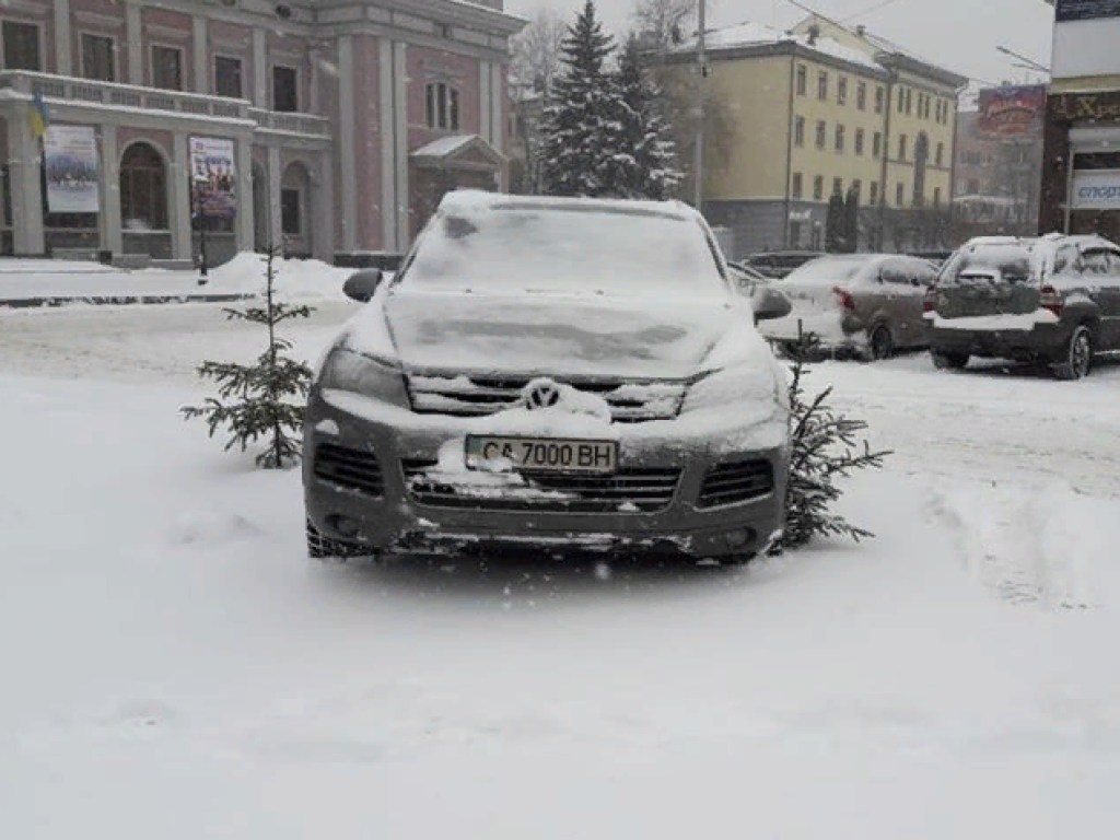 В Черкассах «Герой парковки» раздавил молодую елочку (ФОТО)