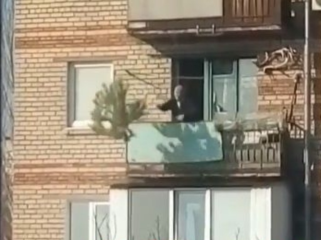 Житель Запорожья выбросил новогоднюю елку с балкона и нарвался на критику в Сети (ВИДЕО)