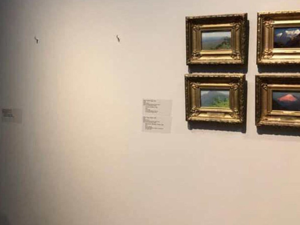 В сеть попали кадры, на которых запечатлен момент похищения картины из Третьяковской галереи (ВИДЕО)
