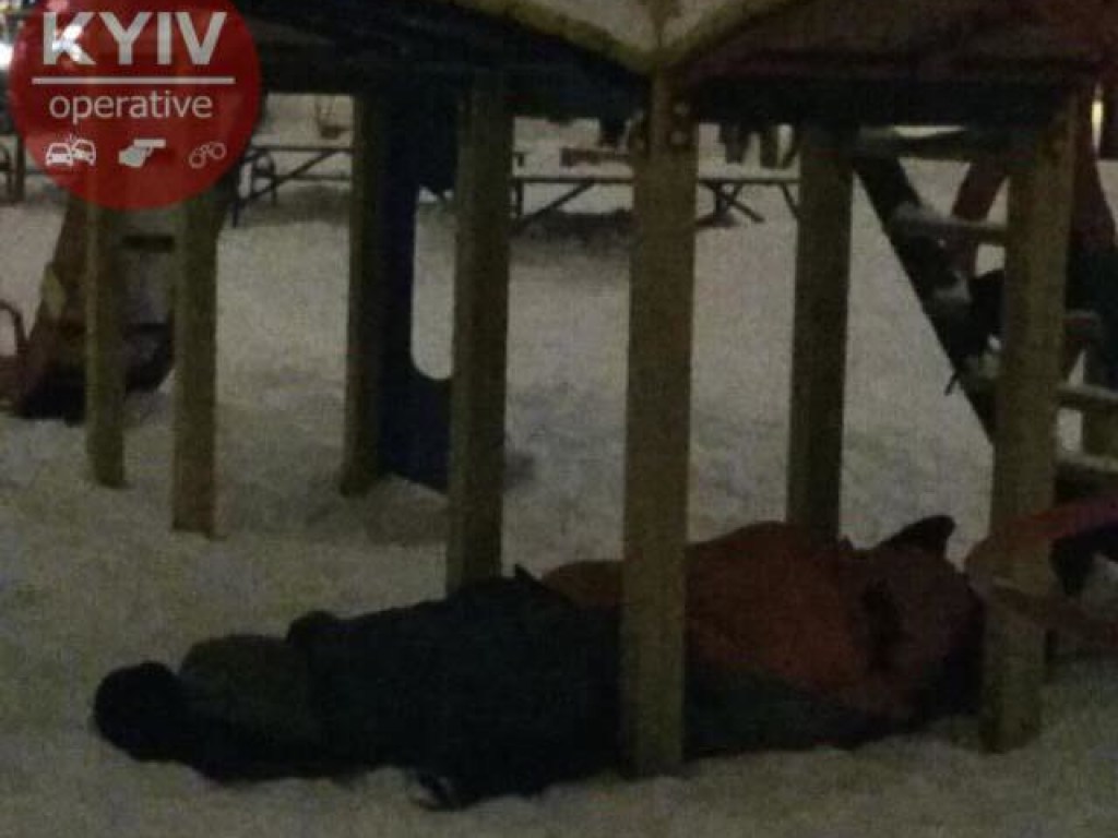 Выгнала в морозы: В Киеве после ссоры с женой мужчина лег спать на детской площадке, где едва не умер (ФОТО)