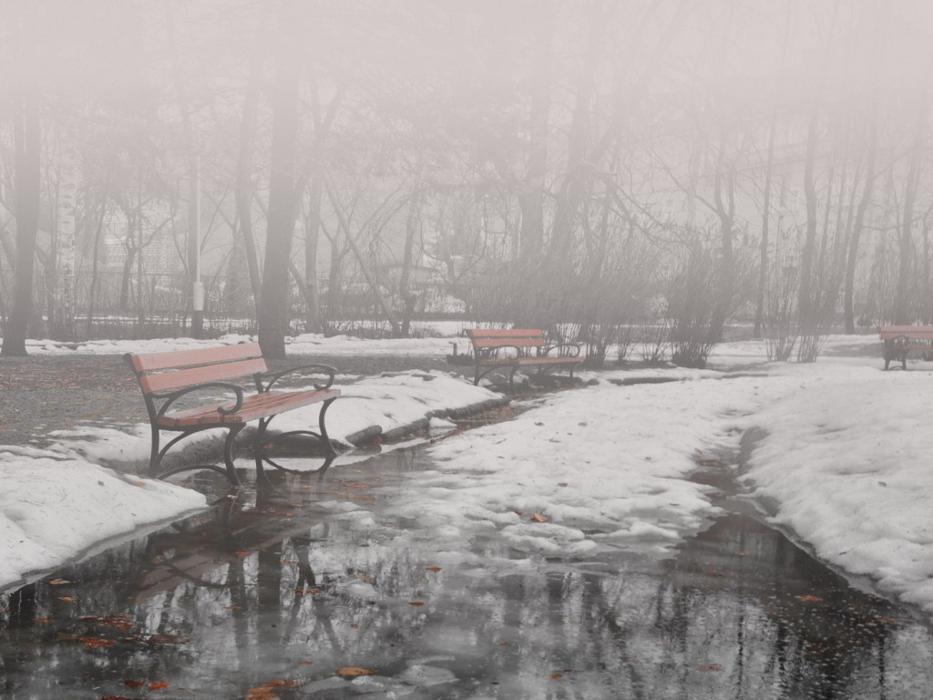 Синоптик: В последний день января оттепель в Украине будет сопровождаться дождями и туманами (КАРТА)