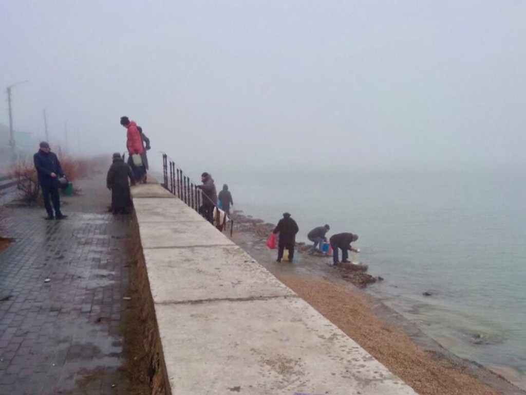 В Бердянске уже 4 дня нет воды из-за аварии на коллекторе: люди набирают воду из моря (ФОТО)