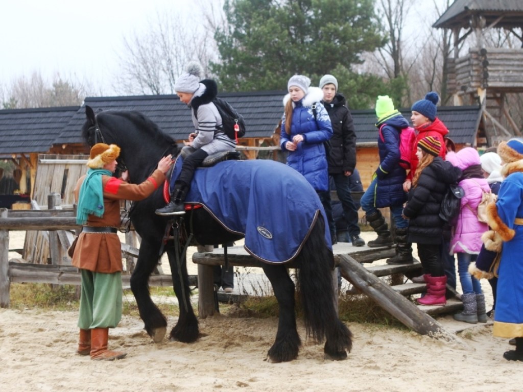 Под Киевом пройдут открытые конные мастер-классы